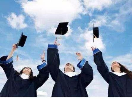 大学本科教育教什么