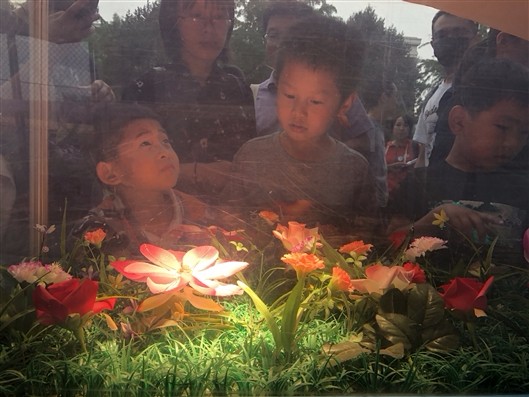 中科院物理所公众科学日：科学超可爱！