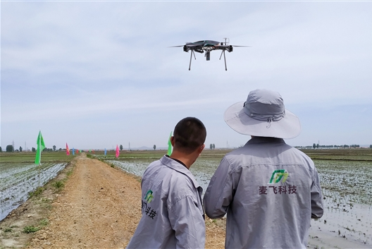 中科院走出来的青年创业者：麦田里的守望者