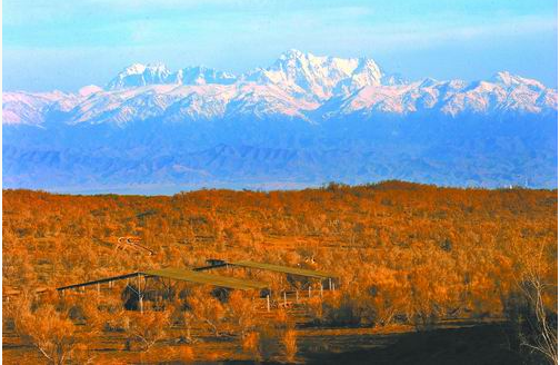 中科院新疆生地所：扎根荒漠谱新篇