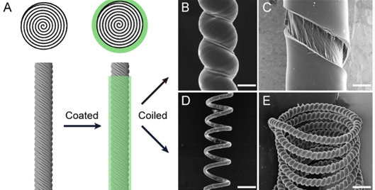 “四两拨千斤”：人工肌肉材料制备又有新解